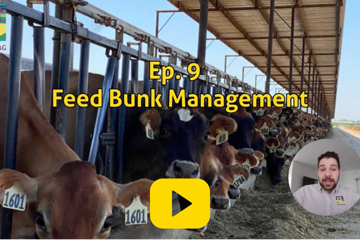 Silage with PASSION Ep.9