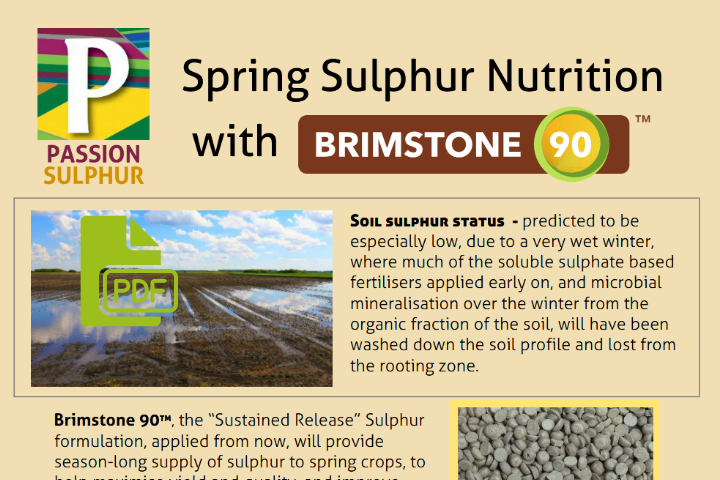 Brimstone 90 -Spring Sulphur Nutrition Flyer 2021
