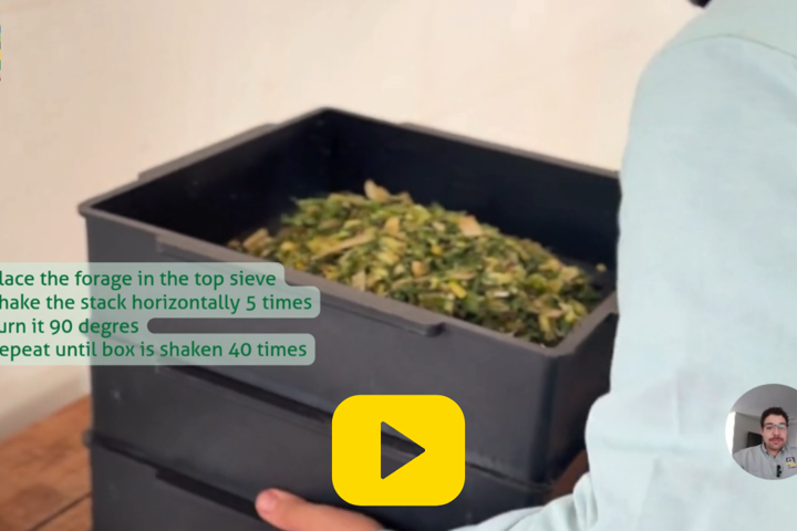 Silage with PASSION Ep.3