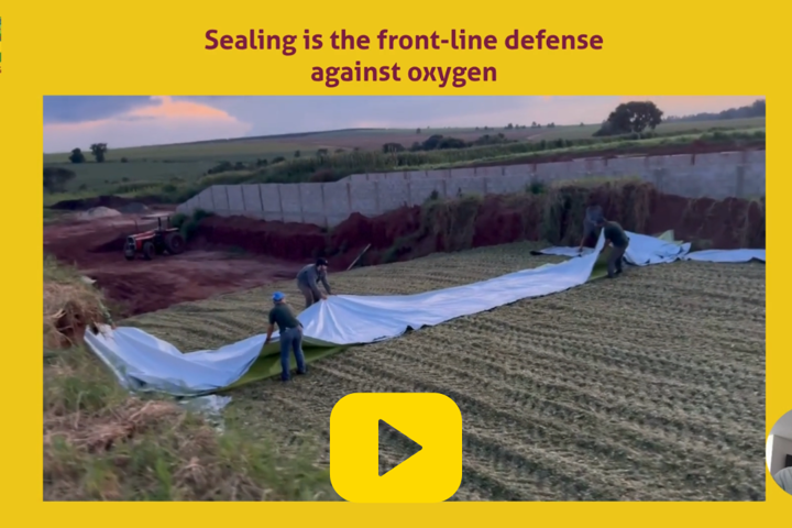Silage with PASSION Ep.6