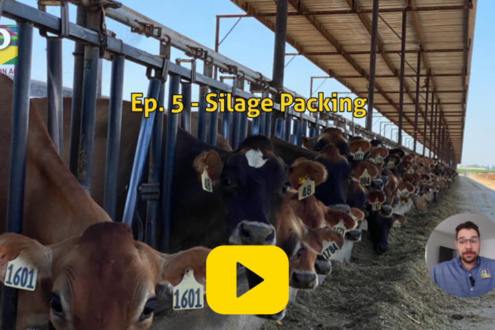 Silage with PASSION Ep.5