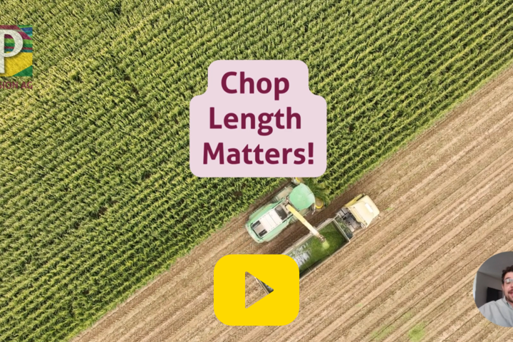 Silage with PASSION Ep.2